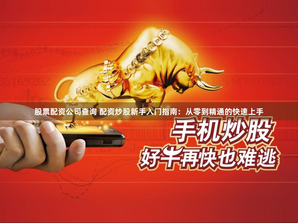股票配资公司查询 配资炒股新手入门指南：从零到精通的快速上手